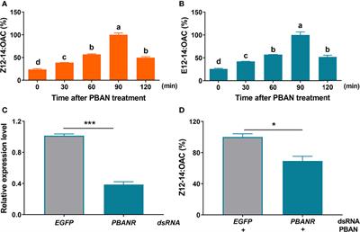 Transcriptome Analysis of Ostrinia furnacalis Female Pheromone Gland: Esters Biosynthesis and Requirement for Mating Success